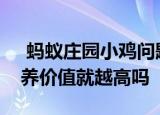  蚂蚁庄园小鸡问题：煲汤时间越长汤中的营养价值就越高吗