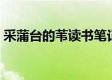 采蒲台的苇读书笔记（采蒲台的苇阅读答案）
