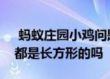 蚂蚁庄园小鸡问题：世界上所有国家的国旗都是长方形的吗