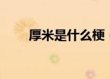厚米是什么梗（厚米是什么梗意思）