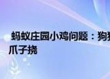  蚂蚁庄园小鸡问题：狗狗打架时为什么经常上嘴咬而不是用爪子挠