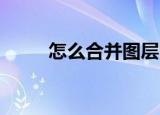 怎么合并图层（PS怎么合并图层）