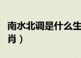 南水北调是什么生肖动物（南水北调是什么生肖）