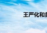 王严化和黄光亮（王严化）