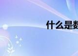 什么是数据（shenm）