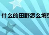 什么的田野怎么填空（什么的田野填空造句）