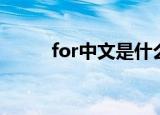 for中文是什么意思（for的意思）