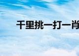 千里挑一打一肖（万里挑一打一生肖）