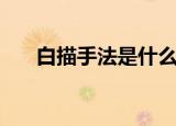 白描手法是什么意思（白描手法介绍）