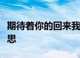 期待着你的回来我的小宝贝是什么歌表达的意思