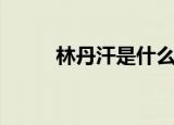 林丹汗是什么来头（林丹汗是谁）