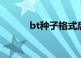 bt种子格式后缀（bt种子格式）