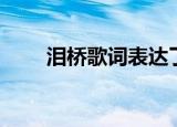 泪桥歌词表达了啥意思（泪桥歌词）