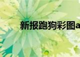 新报跑狗彩图a+bdc图（新报跑狗）