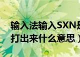 输入法输入SXN是什么意思（SXN用输入法打出来什么意思）
