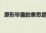 原形毕露的意思是什么（原形毕露的意思）