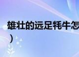 雄壮的远足牦牛怎么打折买（雄壮的远足牦牛）