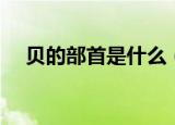 贝的部首是什么（汉字贝的部首是什么）