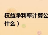 权益净利率计算公式（权益净利率计算公式是什么）