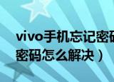 vivo手机忘记密码怎样开锁（vivo手机忘记密码怎么解决）