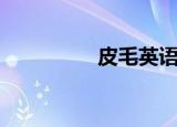 皮毛英语怎么读（皮毛）