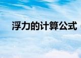 浮力的计算公式（四种计算浮力的方法）