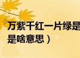 万紫千红一片绿是什么意思（万紫千红一片绿是啥意思）