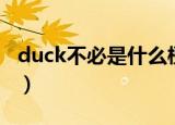 duck不必是什么梗啥意思（duck不必的意思）
