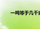 一吨等于几千克（多少千克是一吨）