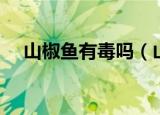 山椒鱼有毒吗（山椒鱼是不是有毒的呢）