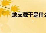 地支藏干是什么（地支藏干的解释）