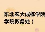 东北农大成栋学院还有吗（东北农业大学成栋学院教务处）