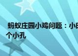  蚂蚁庄园小鸡问题：小时候吃的棒棒糖棒子上为什么会有一个小孔