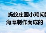  蚂蚁庄园小鸡问题：海苔主要是由下列哪种海藻制作而成的