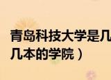 青岛科技大学是几本（青岛市科技大学到底是几本的学院）