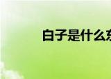 白子是什么东西（白子是何物）
