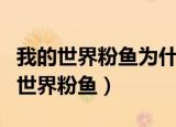 我的世界粉鱼为什么不和籽岷他们玩了（我的世界粉鱼）