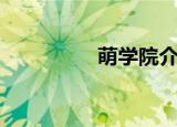 萌学院介绍（萌动学院）