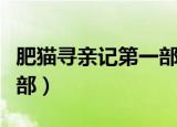 肥猫寻亲记第一部剧情介绍（肥猫寻亲记第一部）