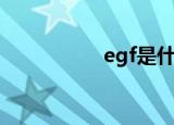egf是什么（egf是啥）