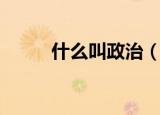 什么叫政治（政治的定义是什么）