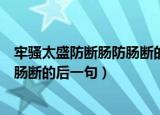 牢骚太盛防断肠防肠断的下一句是什么（牢骚太盛防断肠防肠断的后一句）