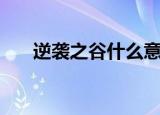 逆袭之谷什么意思（逆袭之谷怎么刷）