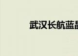 武汉长航蓝晶国际（蓝晶国际）