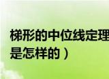 梯形的中位线定理是什么（梯形的中位线定理是怎样的）