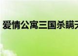 爱情公寓三国杀瞒天过海（爱情公寓三国杀）