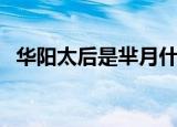 华阳太后是芈月什么人（华阳太后的简介）