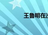 王鲁明在沙子口（王鲁明）