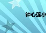 钟心莲小说原著（钟心）