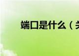 端口是什么（关于计算机端口介绍）